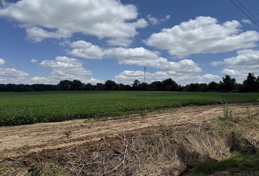 0 SINAI DR, Mason, Tennessee 38049, 0 , 0 ,0,Land,For Sale,SINAI,0,10210880