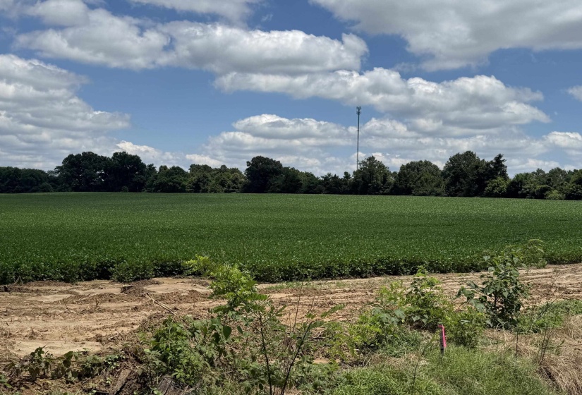 0 SINAI DR, Mason, Tennessee 38049, 0 , 0 ,0,Land,For Sale,SINAI,0,10210880