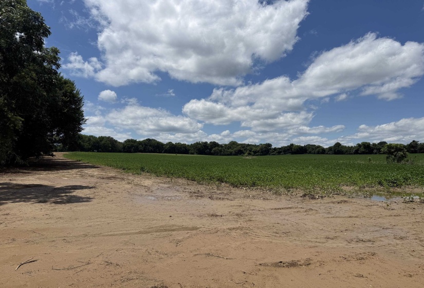 0 SINAI DR, Mason, Tennessee 38049, 0 , 0 ,0,Land,For Sale,SINAI,0,10210880
