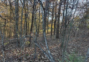 182 FAWN DR, Middleton, Tennessee 38052, ,Land,For Sale,FAWN,10210881 182 FAWN DR, Middleton, Tennessee 38052, ,Land,For Sale,FAWN,10210881
