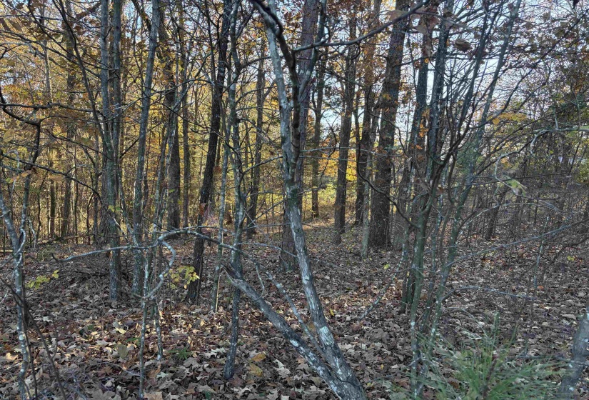182 FAWN DR, Middleton, Tennessee 38052, ,Land,For Sale,FAWN,10210881