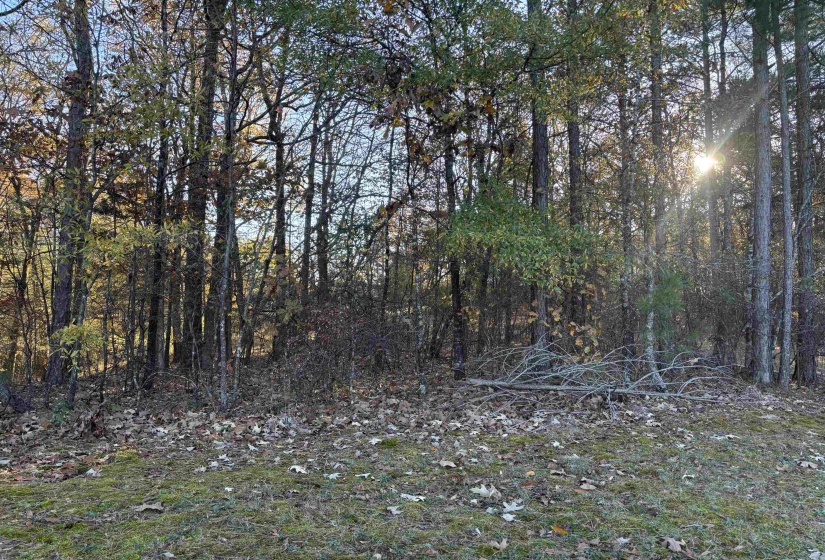 182 FAWN DR, Middleton, Tennessee 38052, ,Land,For Sale,FAWN,10210881