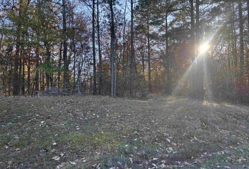 182 FAWN DR, Middleton, Tennessee 38052, ,Land,For Sale,FAWN,10210881