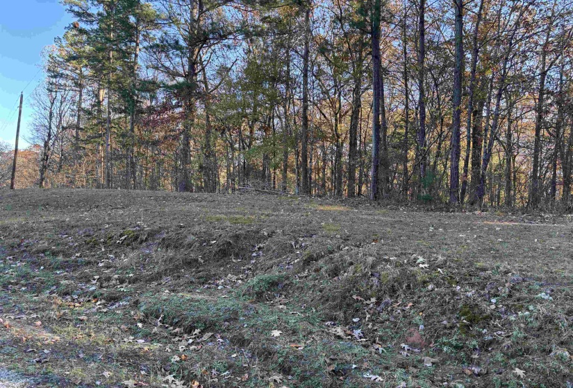 182 FAWN DR, Middleton, Tennessee 38052, ,Land,For Sale,FAWN,10210881