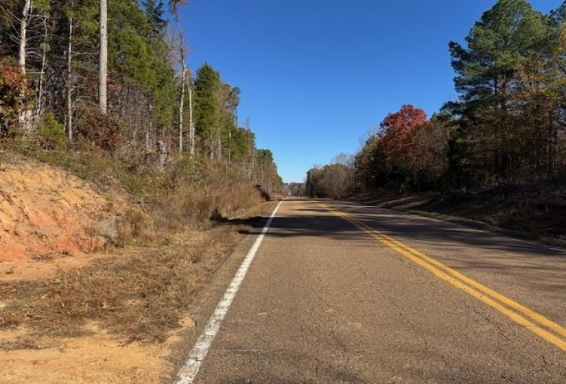 View of asphalt street featuring a wooded view
