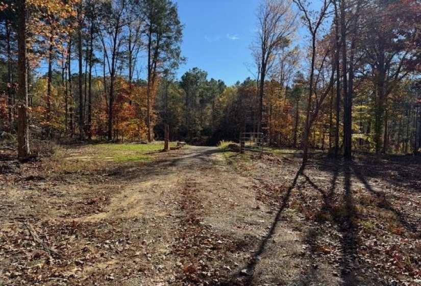 View of dirt / gravel road featuring a forest view
