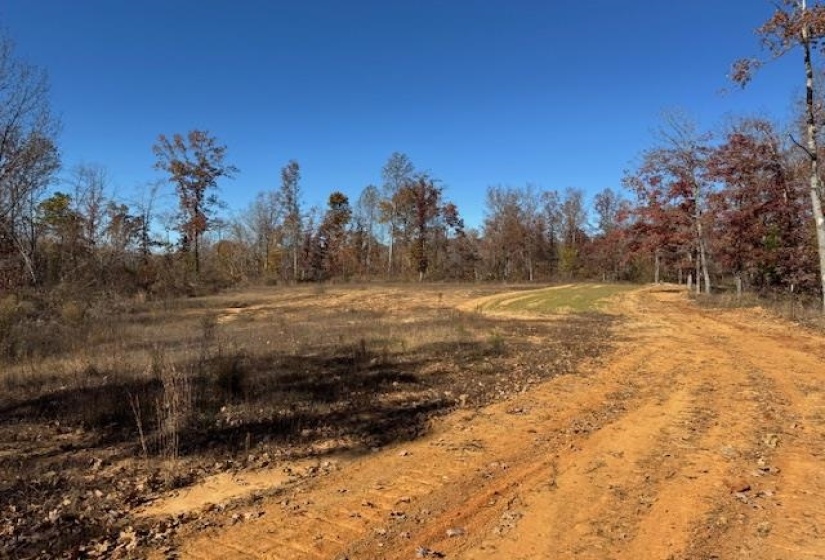 View of undeveloped land