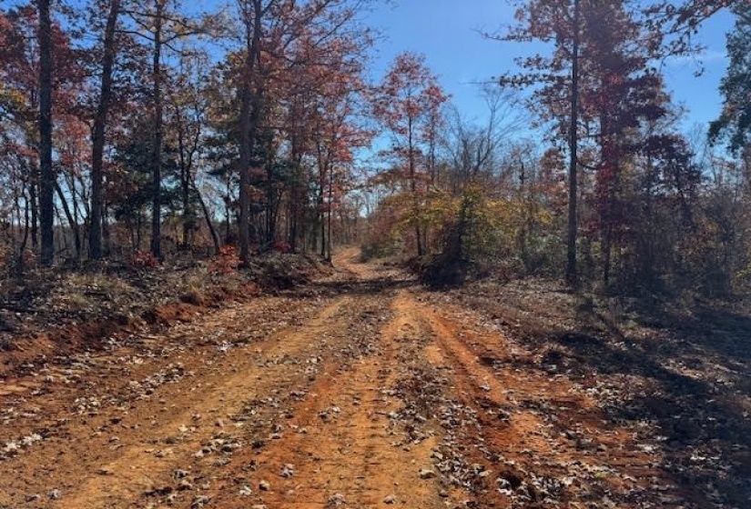 View of dirt / gravel road with a wooded view