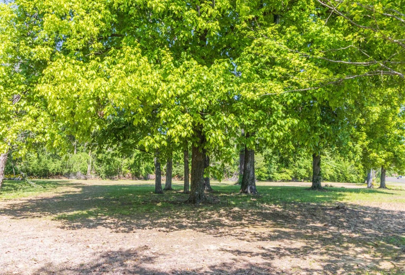 8453 HWY 45 S HWY, Ramer, Tennessee 38367, 3 Bedrooms Bedrooms, 8 Rooms Rooms,2 BathroomsBathrooms,Residential,For Sale,HWY 45 S,10211040