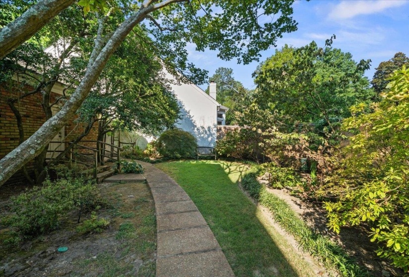 View of grassy yard