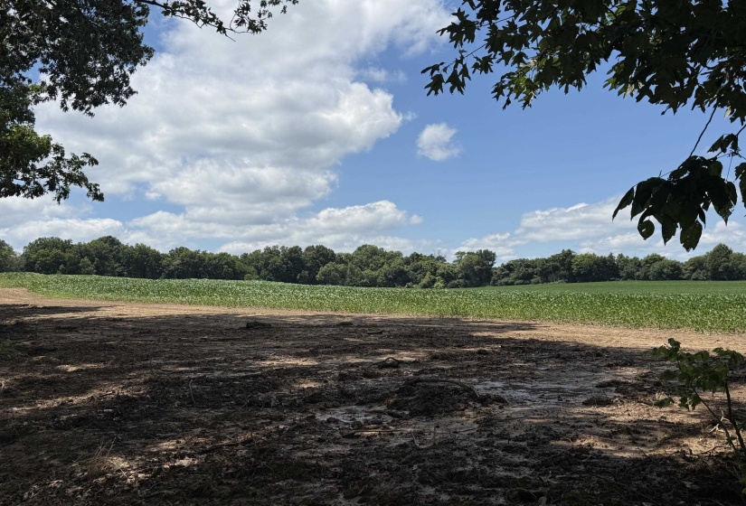 000 SINAI DR, Mason, Tennessee 38049, 0 , 0 ,0,Land,For Sale,SINAI,0,10211203