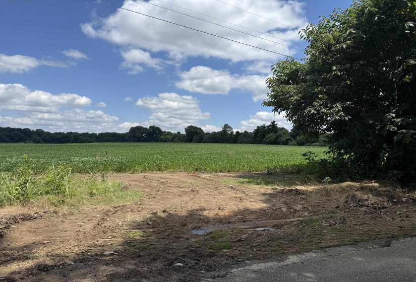000 SINAI DR, Mason, Tennessee 38049, 0 , 0 ,0,Land,For Sale,SINAI,0,10211203