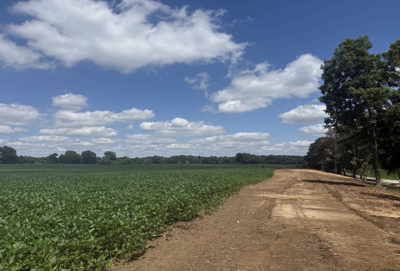 000 SINAI DR, Mason, Tennessee 38049, 0 , 0 ,0,Land,For Sale,SINAI,0,10211203