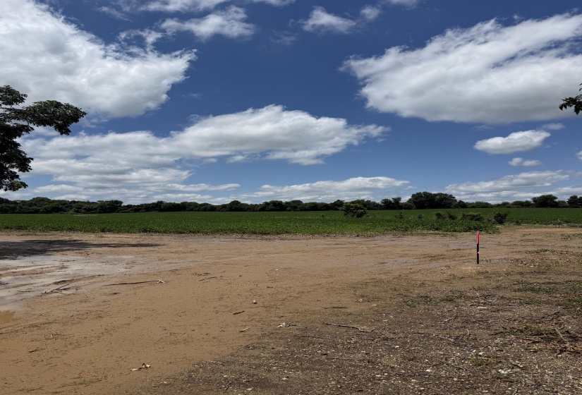 000 SINAI DR, Mason, Tennessee 38049, 0 , 0 ,0,Land,For Sale,SINAI,0,10211203