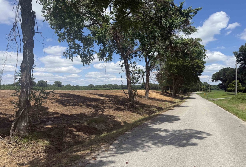 000 SINAI DR, Mason, Tennessee 38049, 0 , 0 ,0,Land,For Sale,SINAI,0,10211203