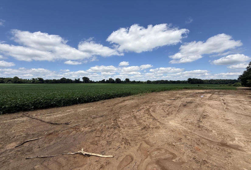000 SINAI DR, Mason, Tennessee 38049, 0 , 0 ,0,Land,For Sale,SINAI,0,10211203
