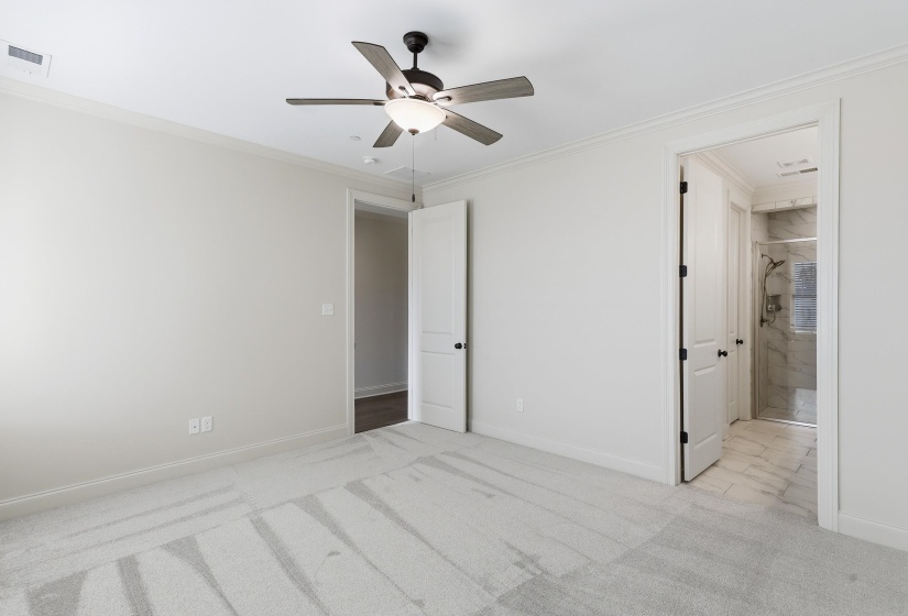 High ceilings, new carpet and freshly painted
