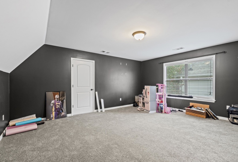 Rec room featuring carpet and lofted ceiling