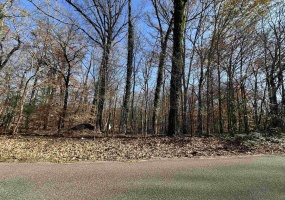 580 ROCKY POINT DR, Memphis, Tennessee 38018, ,Land,For Sale,ROCKY POINT,10211322