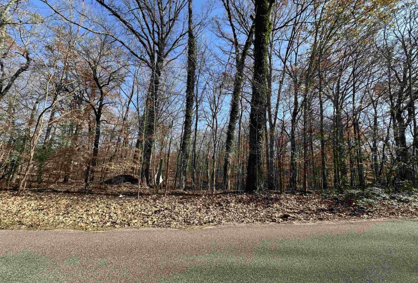 580 ROCKY POINT DR, Memphis, Tennessee 38018, ,Land,For Sale,ROCKY POINT,10211322