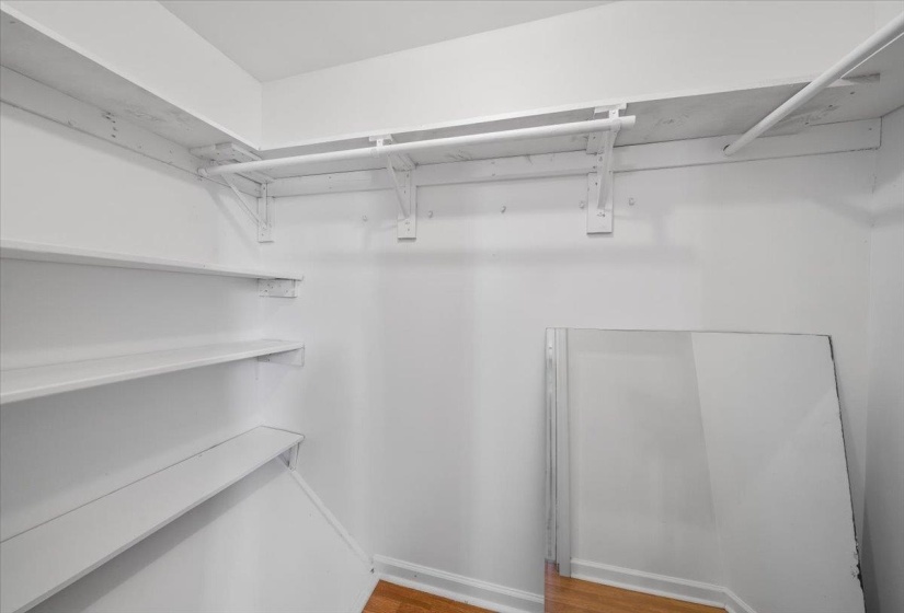 Walk in closet featuring light wood finished floors