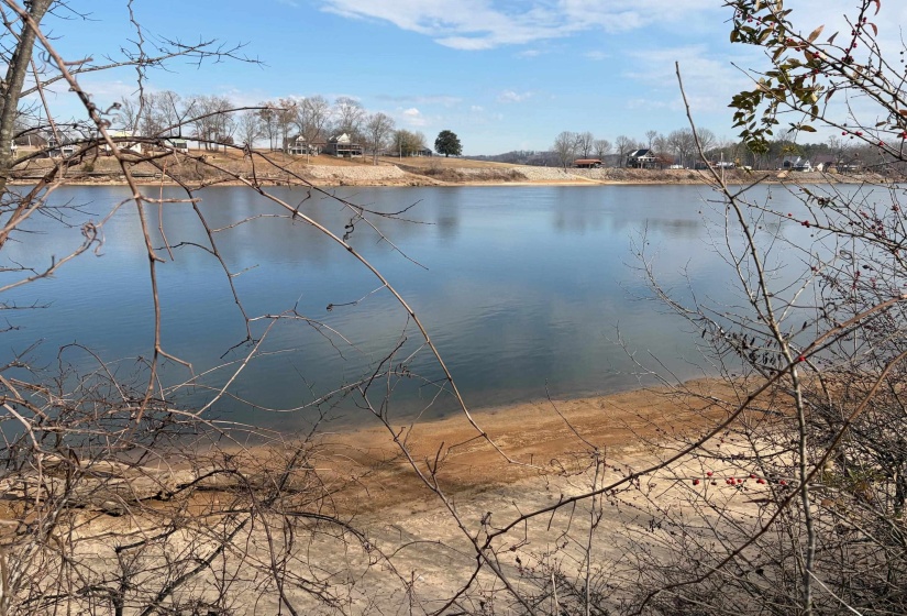95 CRAVENS RD, Savannah, Tennessee 38372, ,Land,For Sale,CRAVENS,10211385