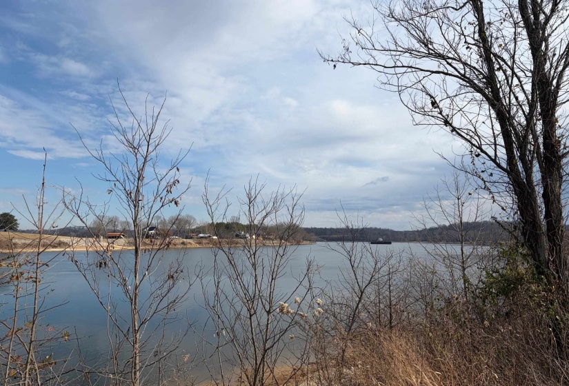 95 CRAVENS RD, Savannah, Tennessee 38372, ,Land,For Sale,CRAVENS,10211385