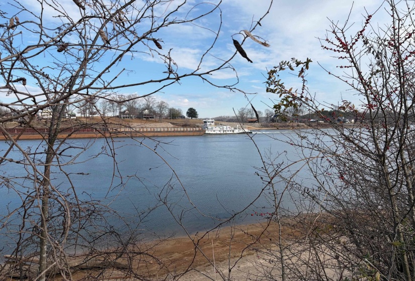 95 CRAVENS RD, Savannah, Tennessee 38372, ,Land,For Sale,CRAVENS,10211385