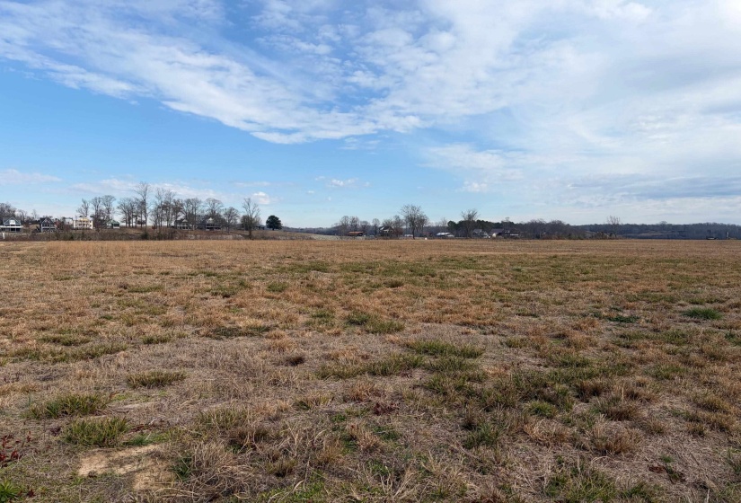 95 CRAVENS RD, Savannah, Tennessee 38372, ,Land,For Sale,CRAVENS,10211385