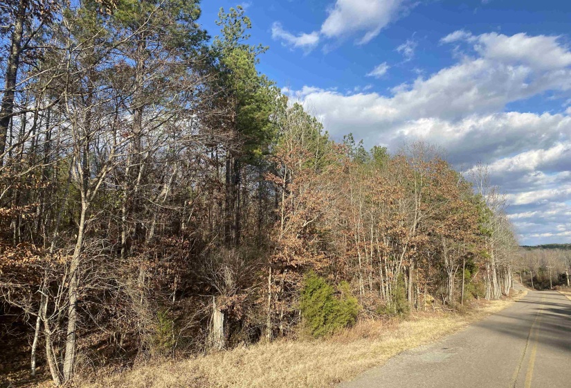 1 ROSE CREEK RD, Selmer, Tennessee 38375, 0 , 0 ,0,Land,For Sale,ROSE CREEK,0,10211442