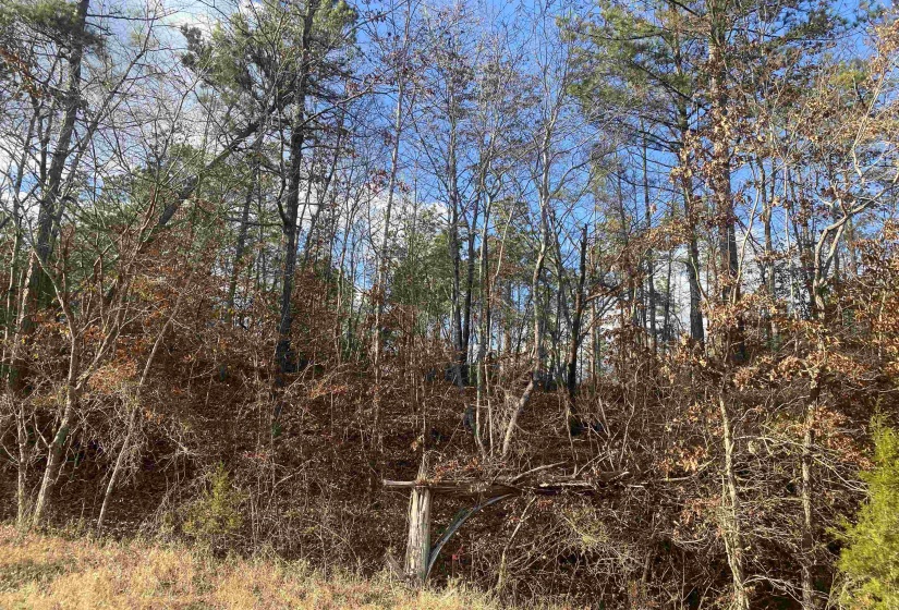 1 ROSE CREEK RD, Selmer, Tennessee 38375, 0 , 0 ,0,Land,For Sale,ROSE CREEK,0,10211442