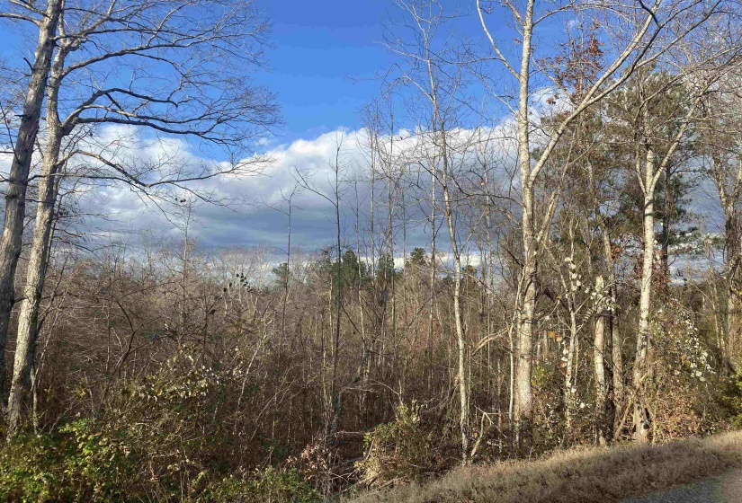 1 ROSE CREEK RD, Selmer, Tennessee 38375, ,Land,For Sale,ROSE CREEK,10211442