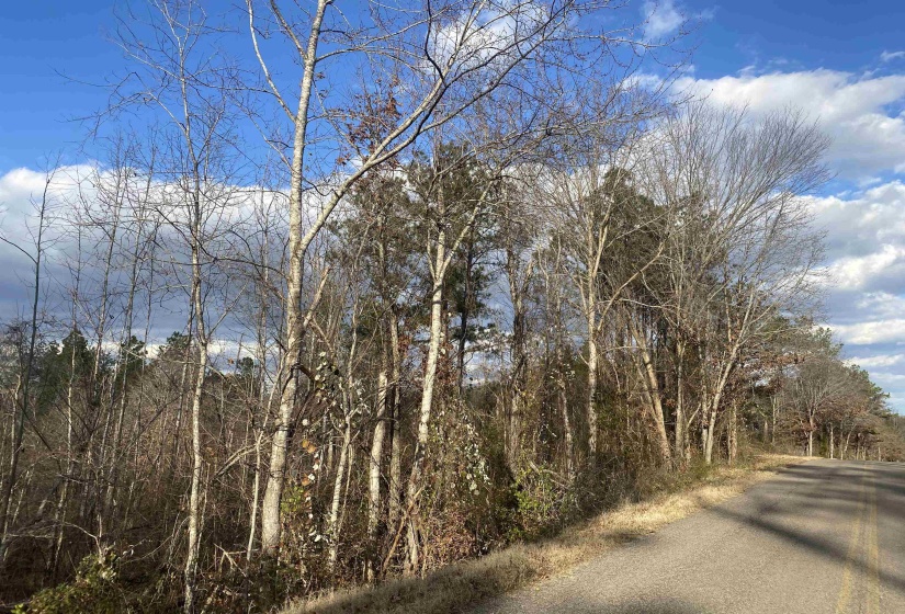 1 ROSE CREEK RD, Selmer, Tennessee 38375, ,Land,For Sale,ROSE CREEK,10211442