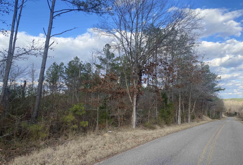 1 ROSE CREEK RD, Selmer, Tennessee 38375, ,Land,For Sale,ROSE CREEK,10211442