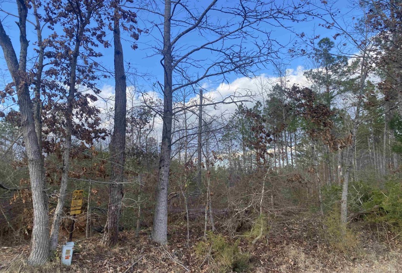 1 ROSE CREEK RD, Selmer, Tennessee 38375, ,Land,For Sale,ROSE CREEK,10211442