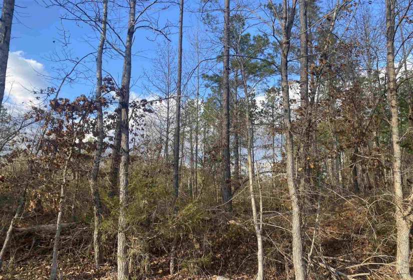 1 ROSE CREEK RD, Selmer, Tennessee 38375, ,Land,For Sale,ROSE CREEK,10211442