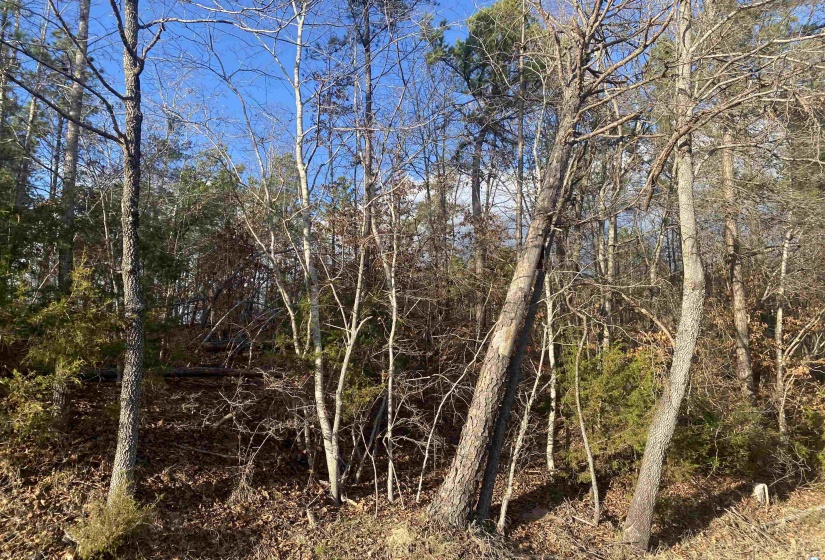 1 ROSE CREEK RD, Selmer, Tennessee 38375, ,Land,For Sale,ROSE CREEK,10211442