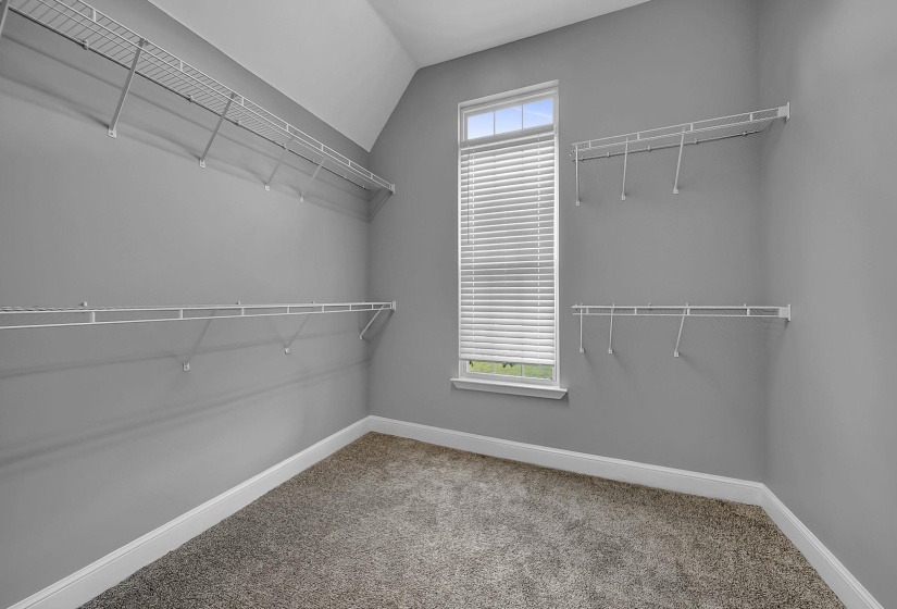 Spacious walk-in closet featuring built-in wire shelving, plush carpet flooring, a window with blinds, and a vaulted ceiling