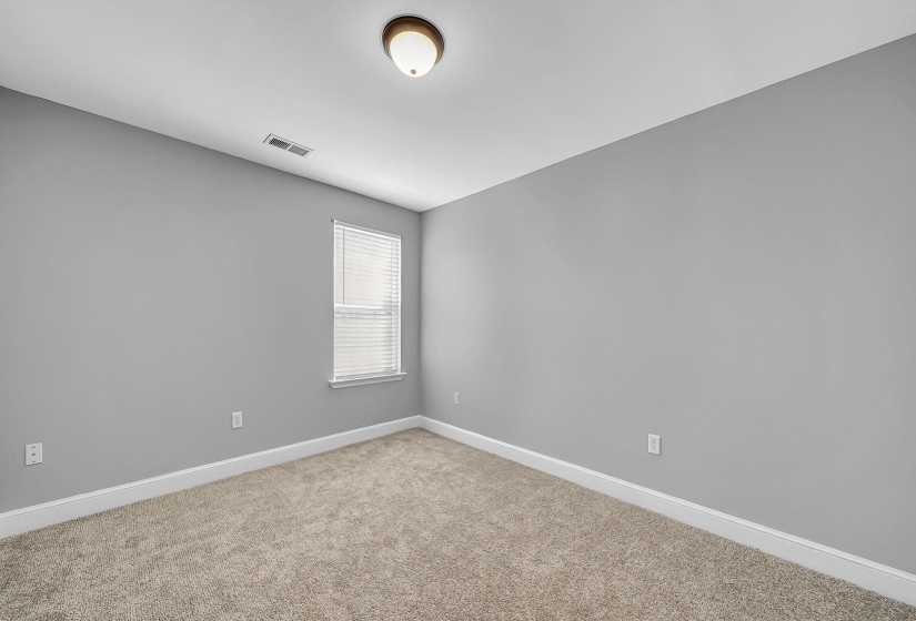 Neutral gray walls complemented by white baseboards and trim