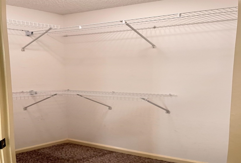 Spacious closet featuring dark colored carpet