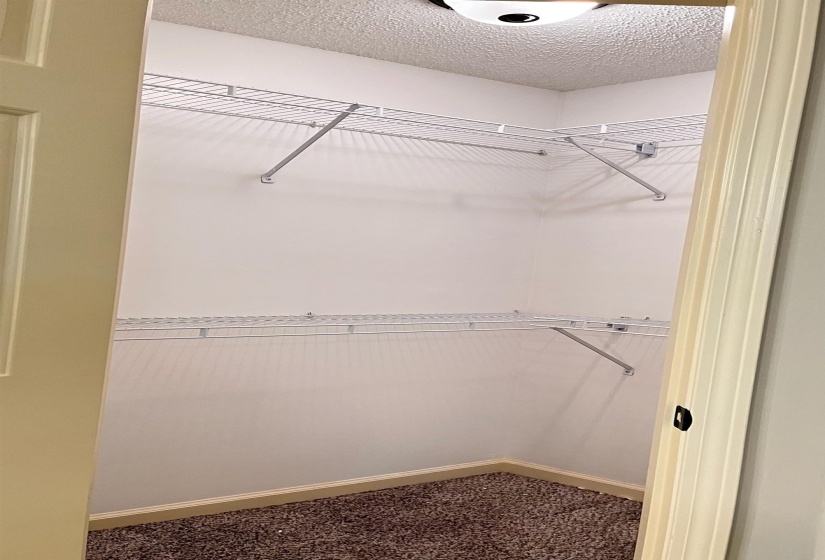 Walk in closet with carpet floors