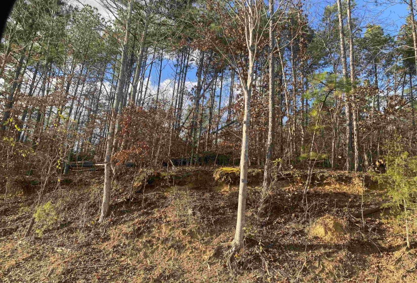 2 ROSE CREEK RD, Selmer, Tennessee 38375, 0 , 0 ,0,Land,For Sale,ROSE CREEK,0,10211451