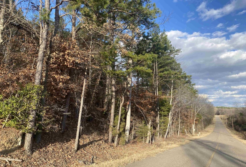 2 ROSE CREEK RD, Selmer, Tennessee 38375, 0 , 0 ,0,Land,For Sale,ROSE CREEK,0,10211451