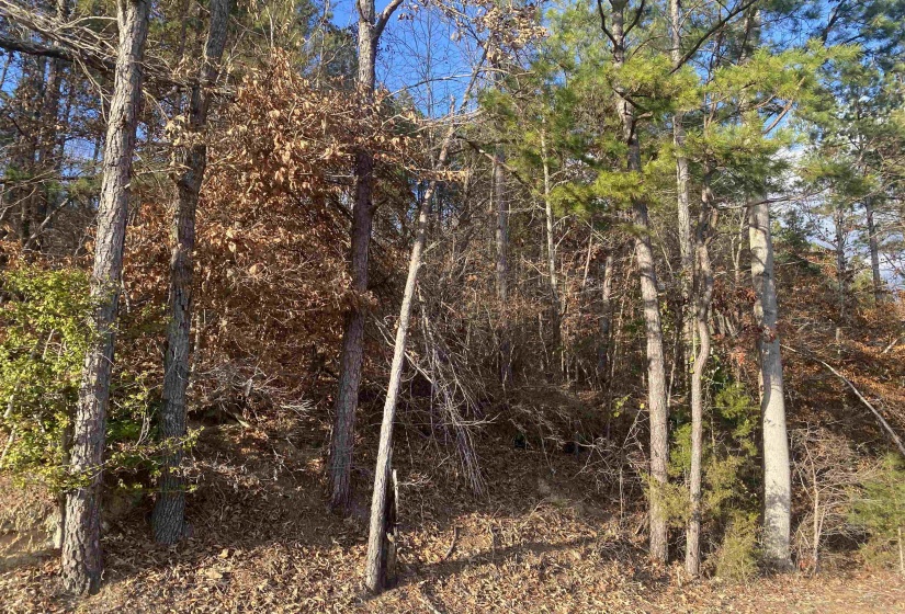 2 ROSE CREEK RD, Selmer, Tennessee 38375, 0 , 0 ,0,Land,For Sale,ROSE CREEK,0,10211451