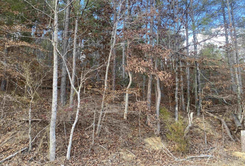 2 ROSE CREEK RD, Selmer, Tennessee 38375, 0 , 0 ,0,Land,For Sale,ROSE CREEK,0,10211451