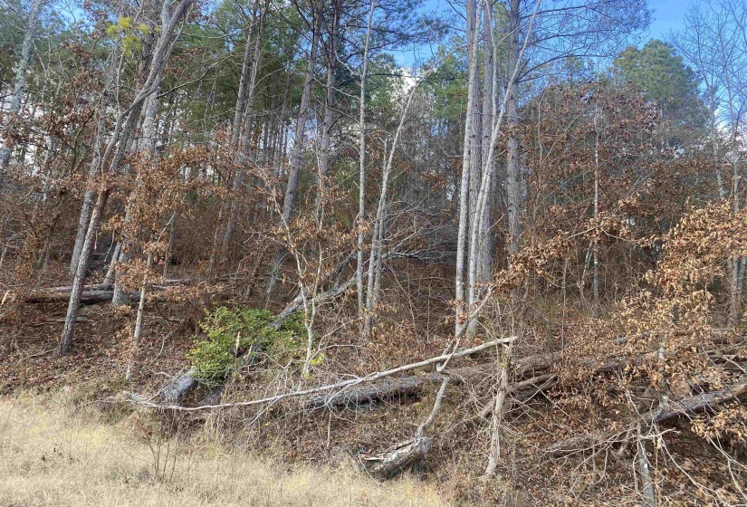 2 ROSE CREEK RD, Selmer, Tennessee 38375, 0 , 0 ,0,Land,For Sale,ROSE CREEK,0,10211451