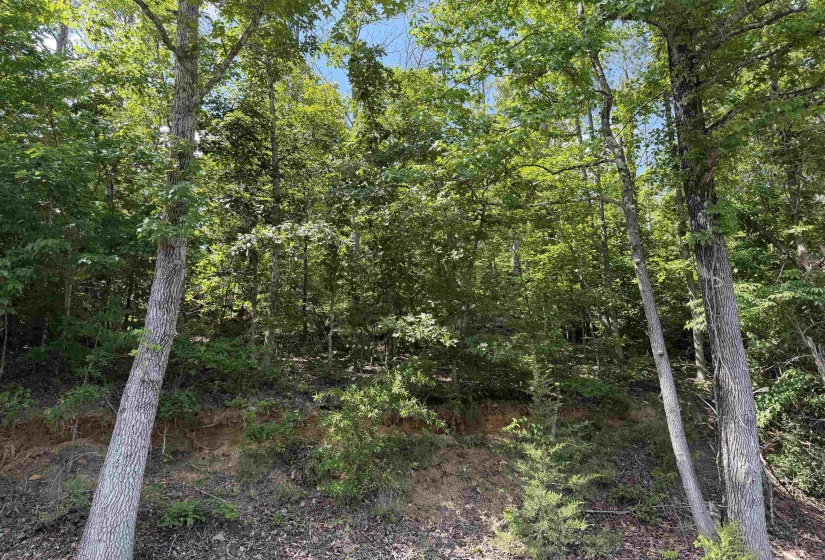 2 ROSE CREEK RD, Selmer, Tennessee 38375, 0 , 0 ,0,Land,For Sale,ROSE CREEK,0,10211451