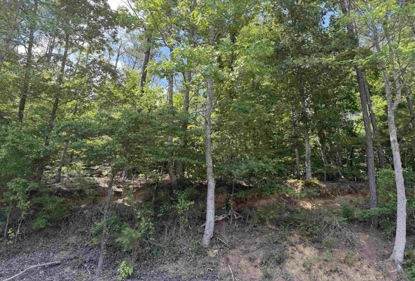 2 ROSE CREEK RD, Selmer, Tennessee 38375, 0 , 0 ,0,Land,For Sale,ROSE CREEK,0,10211451