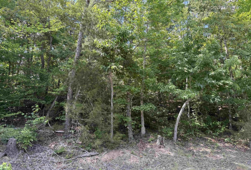 2 ROSE CREEK RD, Selmer, Tennessee 38375, 0 , 0 ,0,Land,For Sale,ROSE CREEK,0,10211451