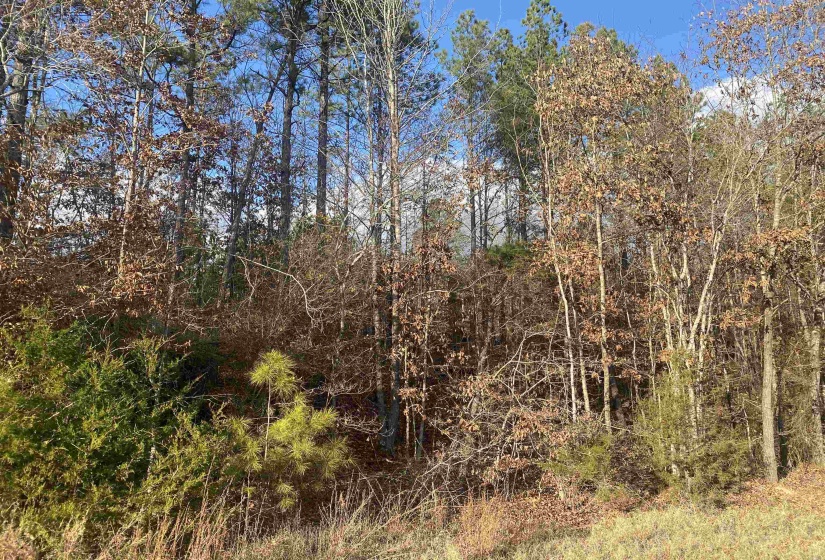 2 ROSE CREEK RD, Selmer, Tennessee 38375, 0 , 0 ,0,Land,For Sale,ROSE CREEK,0,10211451